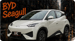 BYD Seagull